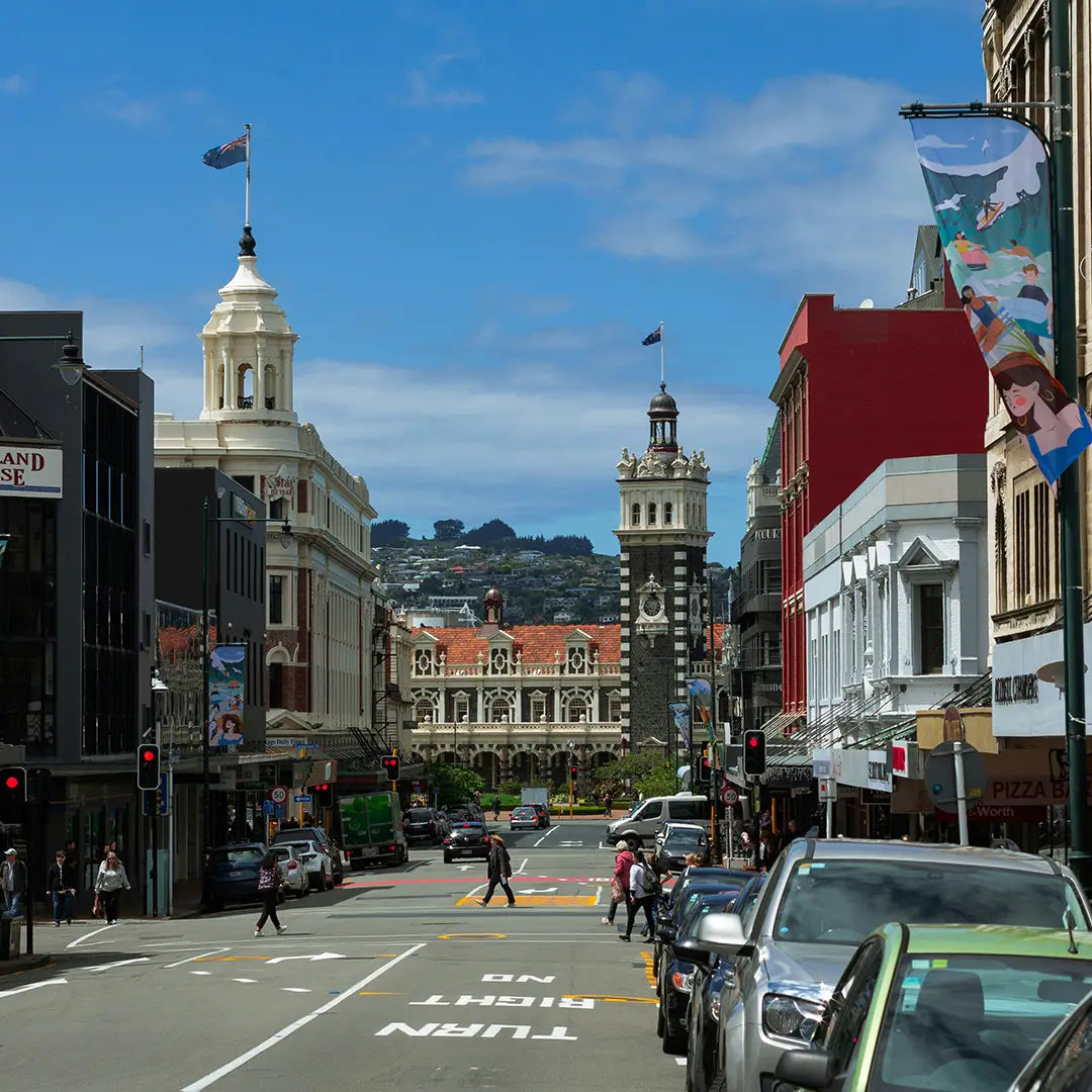 11-Day In-Depth Tour of New Zealand