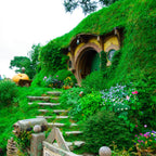 10-Day Ultimate New Zealand South & North Islands Tour