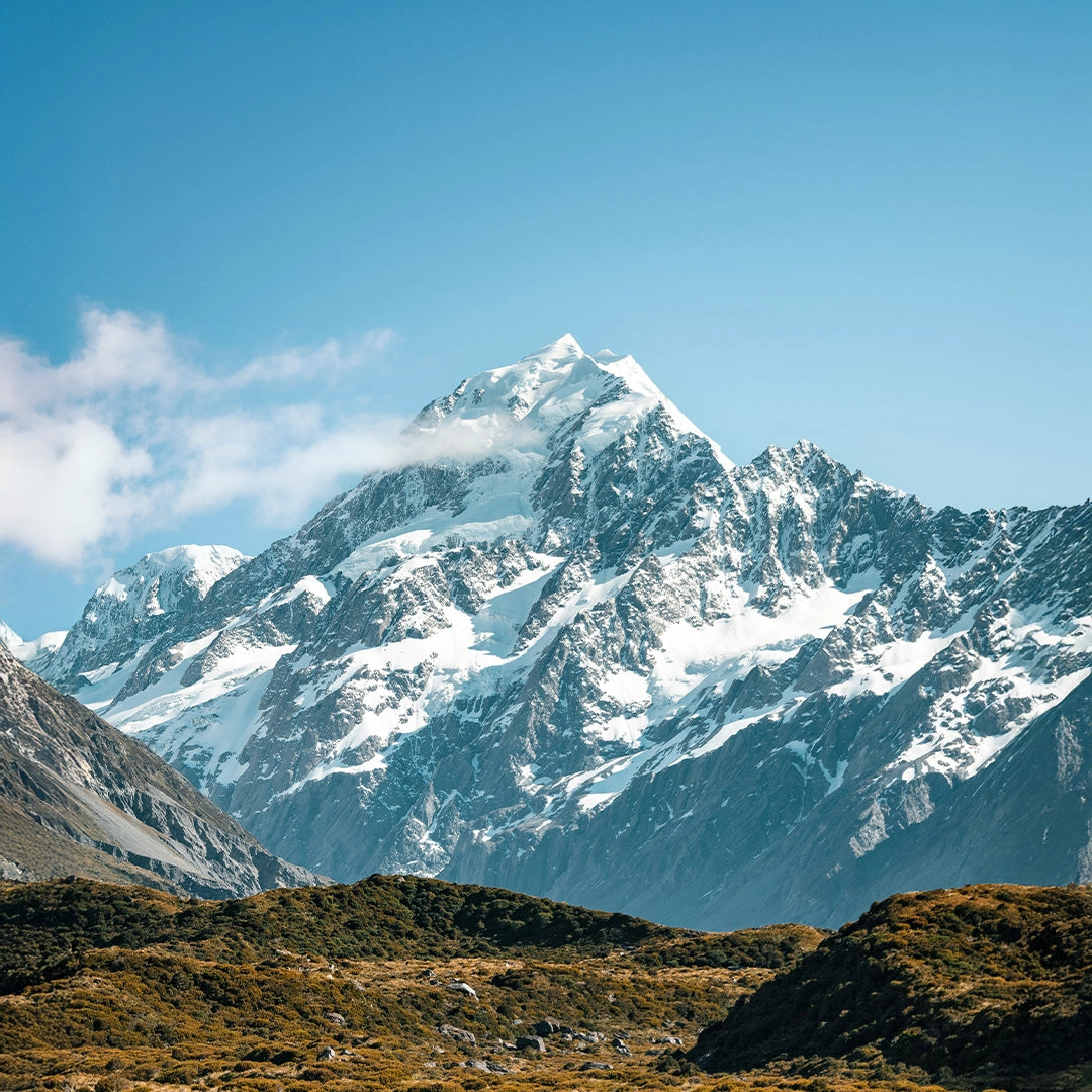 8-Day New Zealand South Island Whale Watching Small Group Tour