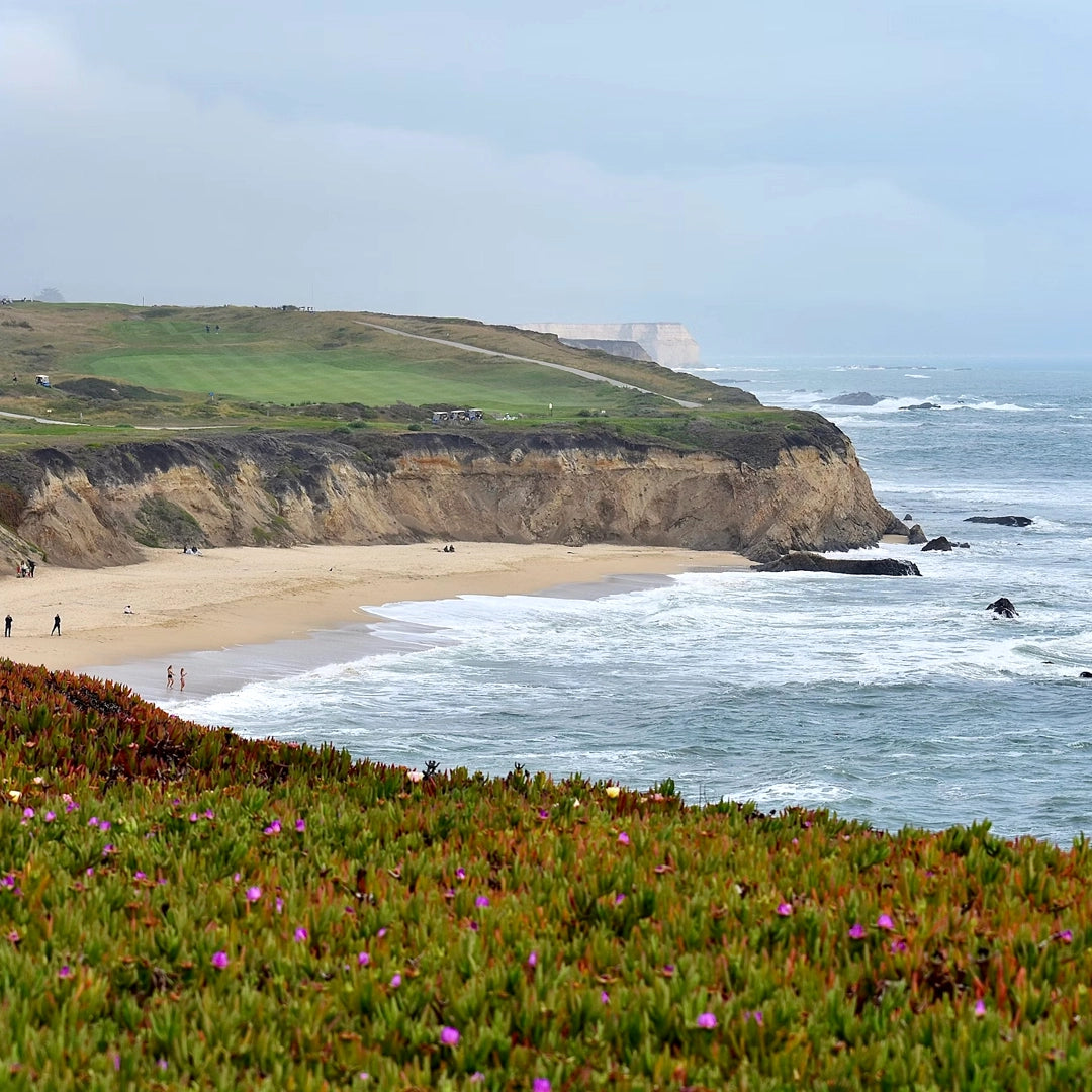 3-Day Pacific Coast Highway Small Group Tour | San Francisco to Los Angeles or Reverse