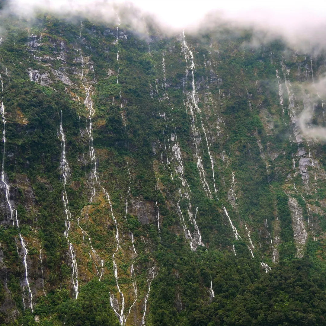 New Zealand South Island Private Chauffeur Car Charter