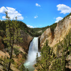5-Day Round Trip from Salt Lake City to Yellowstone National Park VIP Small Group Tour