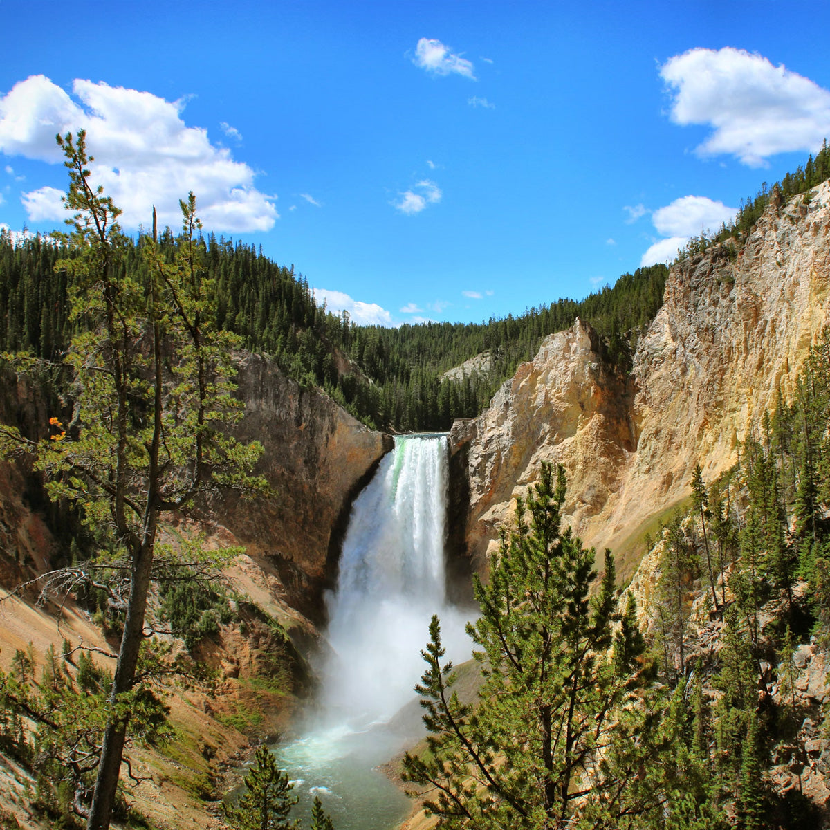 5-Day Round Trip from Salt Lake City to Yellowstone National Park VIP Small Group Tour