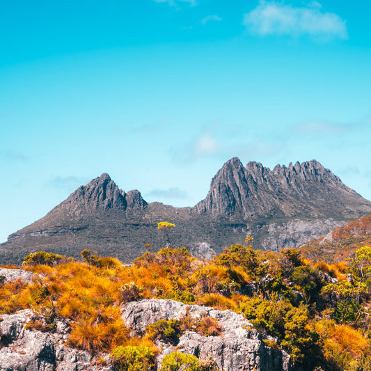 5-DAY SOUTH TOUR OF TASMANIA