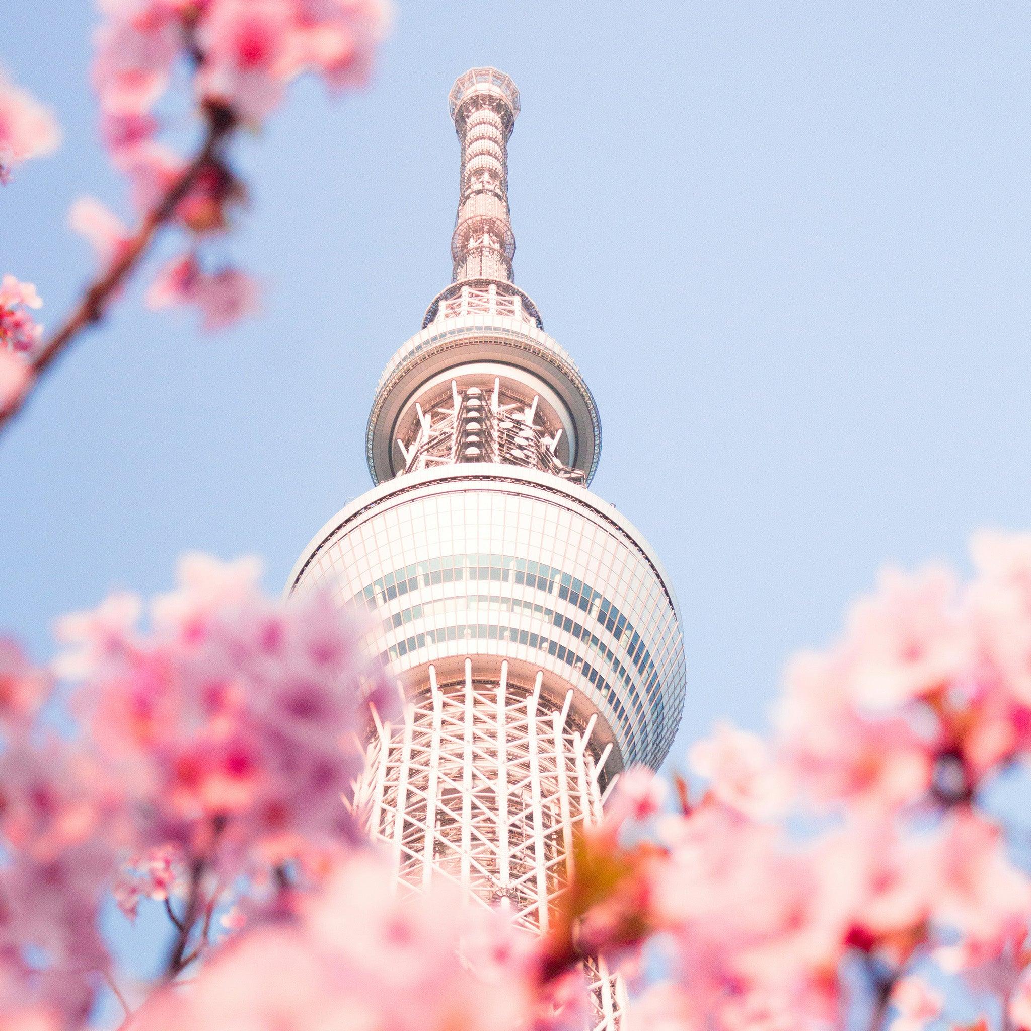 Narita International Airport Transfers