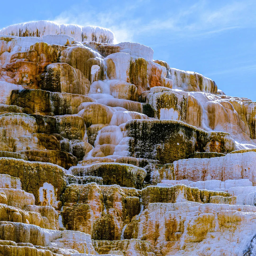Yellowstone Private Chauffeur Charter Tour from Salt Lake City