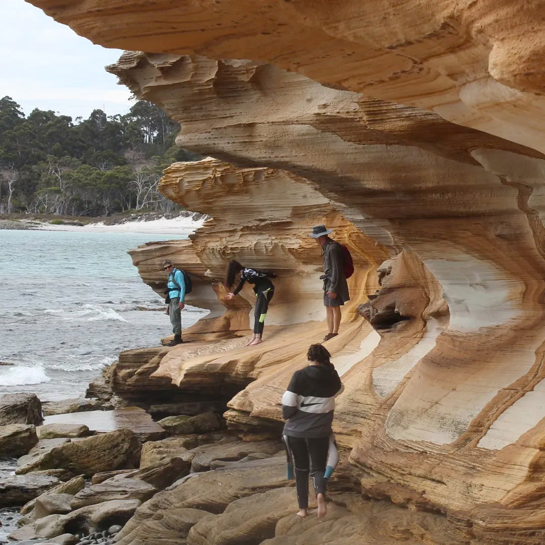 5-Day South Tour if Tasmania