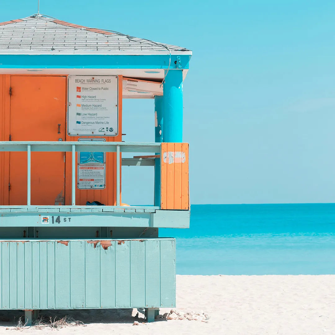 Miami City & Everglades National Park Day Tour