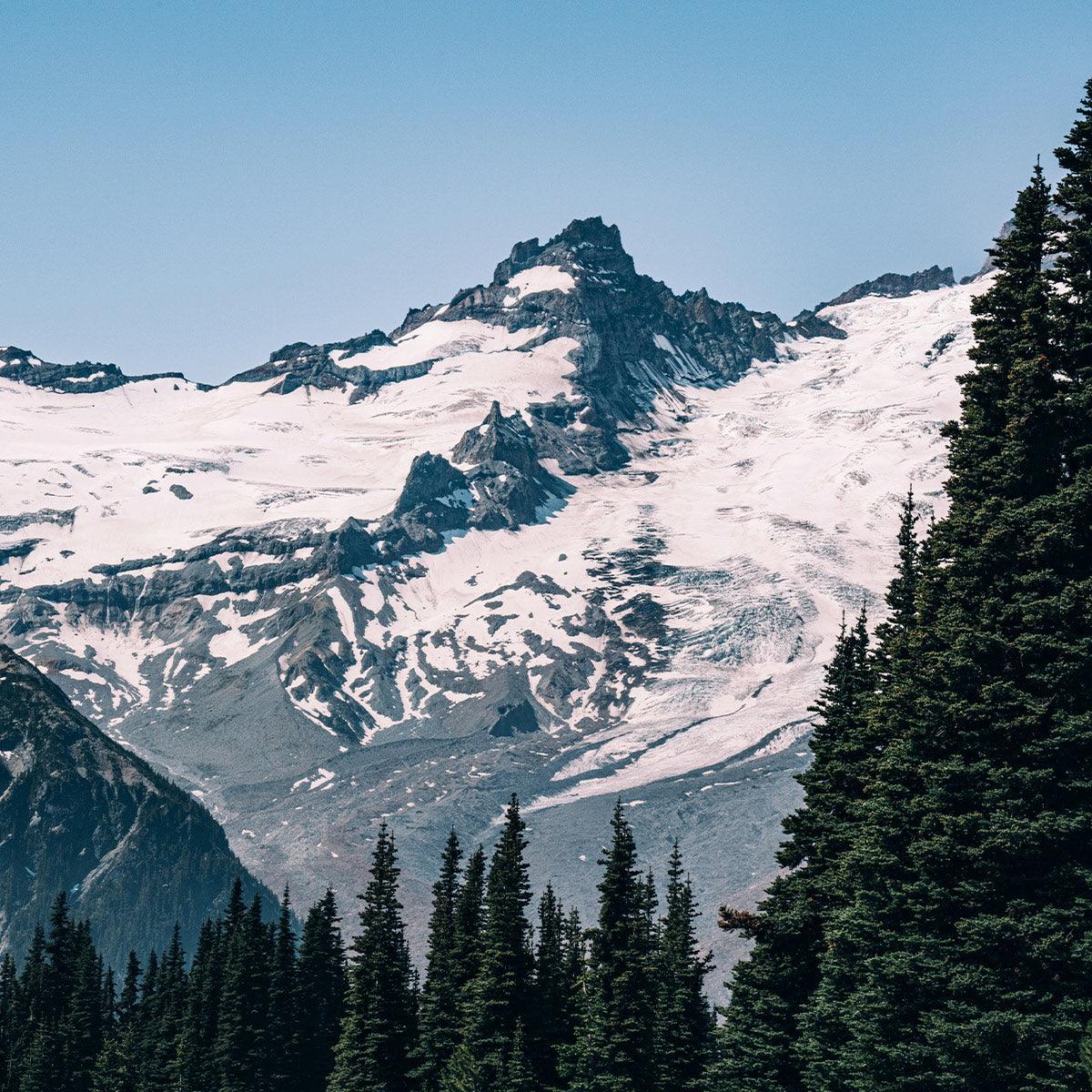 2-Day Mount Rainier & Olympic National Parks Tour – Washington’s Natural Wonders