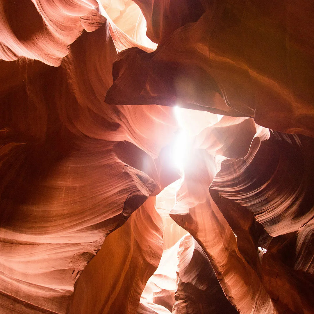 4-Day Western U.S. 5 National Parks | Grand Canyon, Zion, Bryce & More