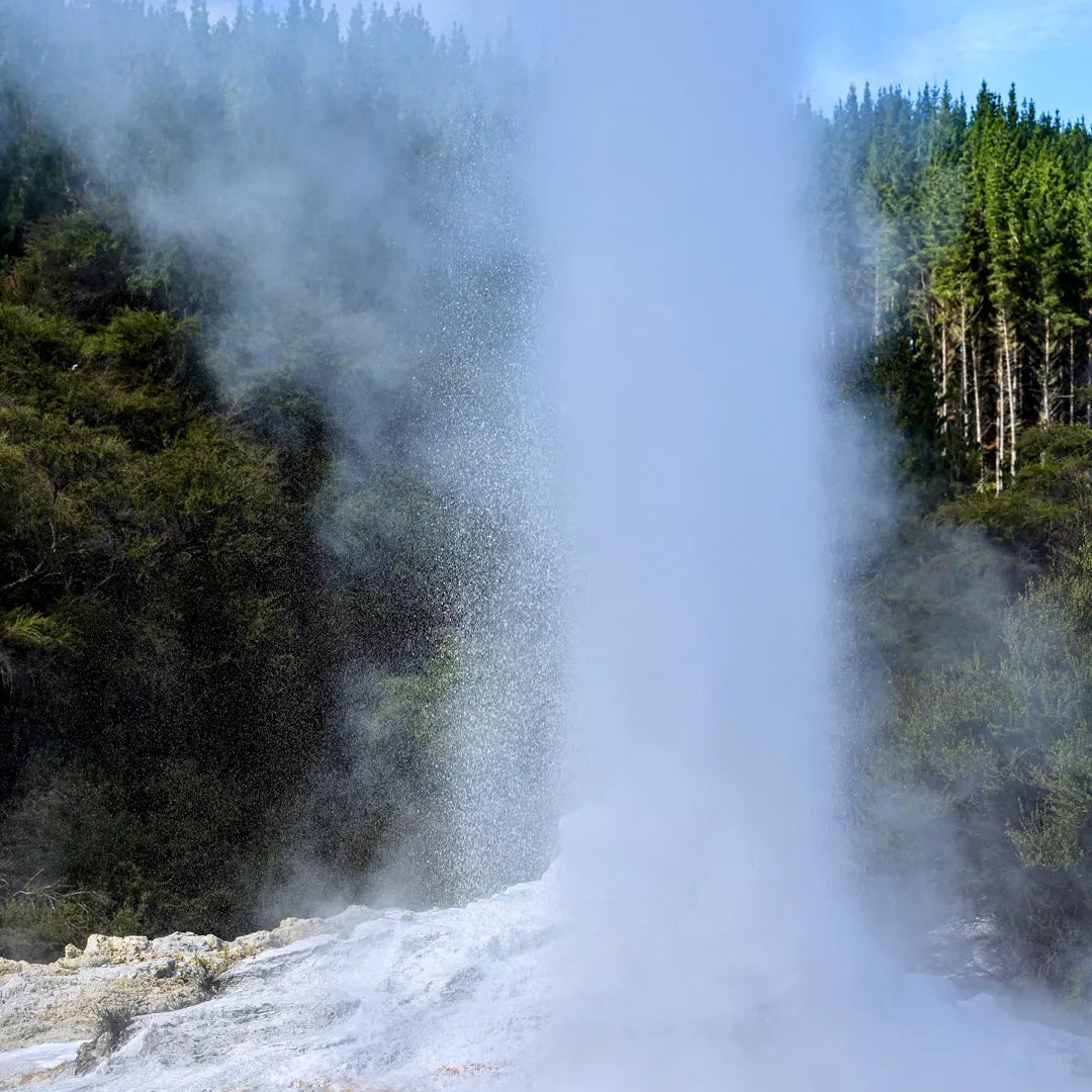 Yellowstone Private Chauffeur Charter Tour from Salt Lake City