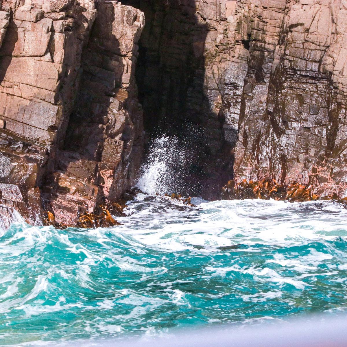 Bruny Island Full-Day Gourmet & Nature Tour with Luxury Coach & Expert Guide