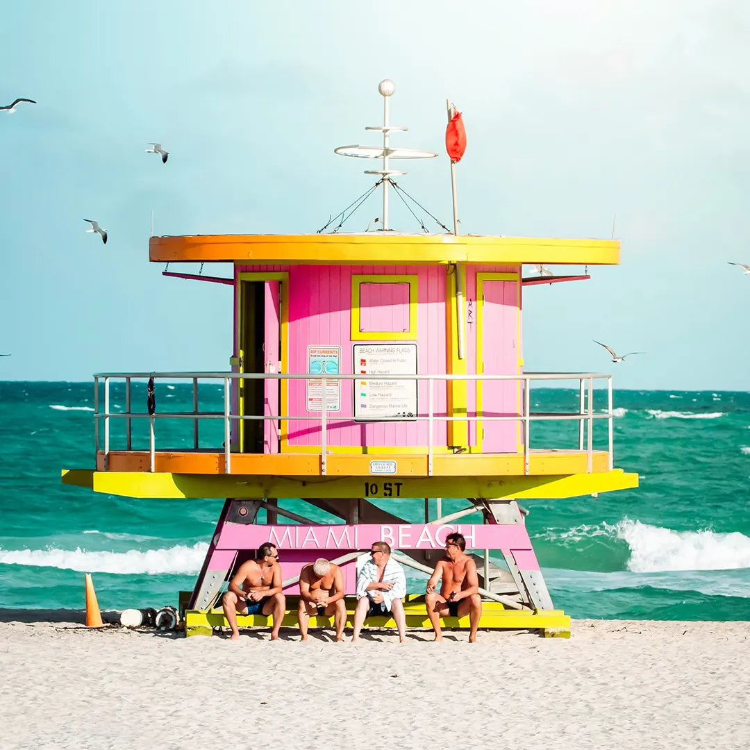 Miami City & Everglades National Park Day Tour