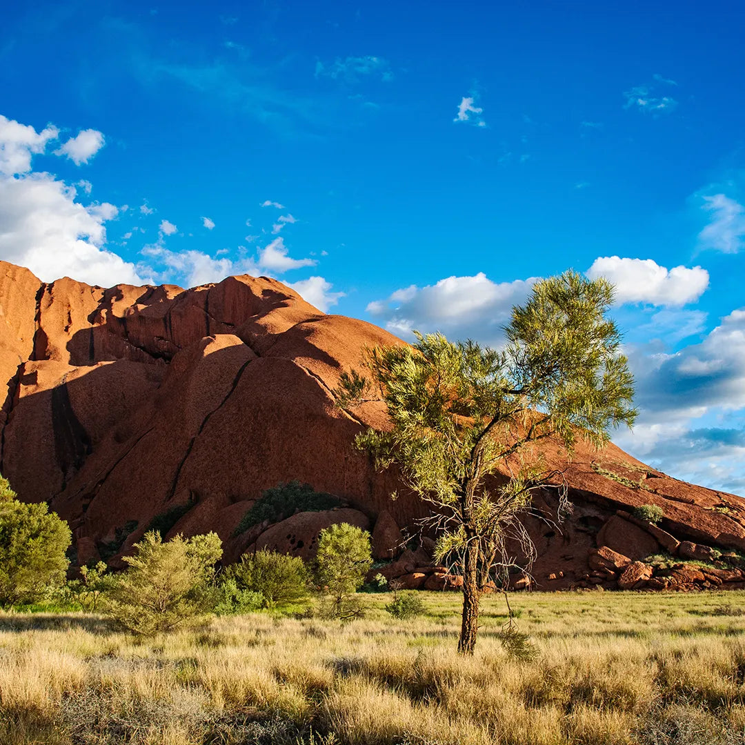 Uluru Classic Tour 3 days