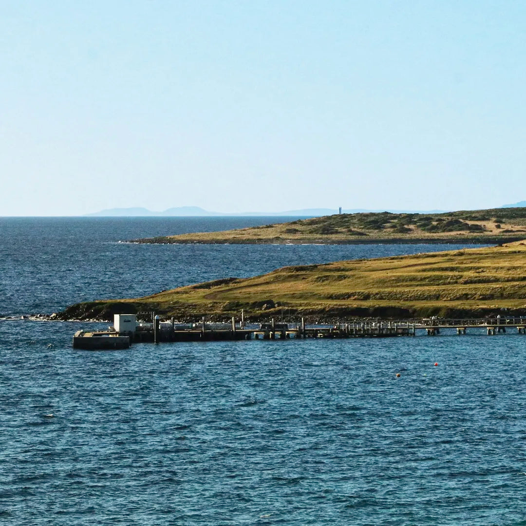 Exclusive Tasmania Private Tours | Flexible Routes & Free Custom Planning