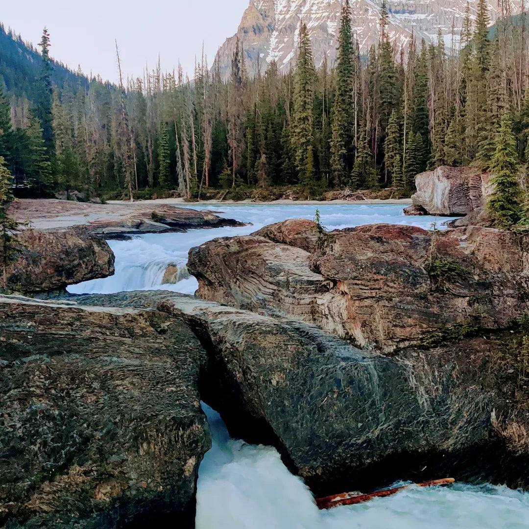 4-Day Banff + Jasper + Yoho National Parks