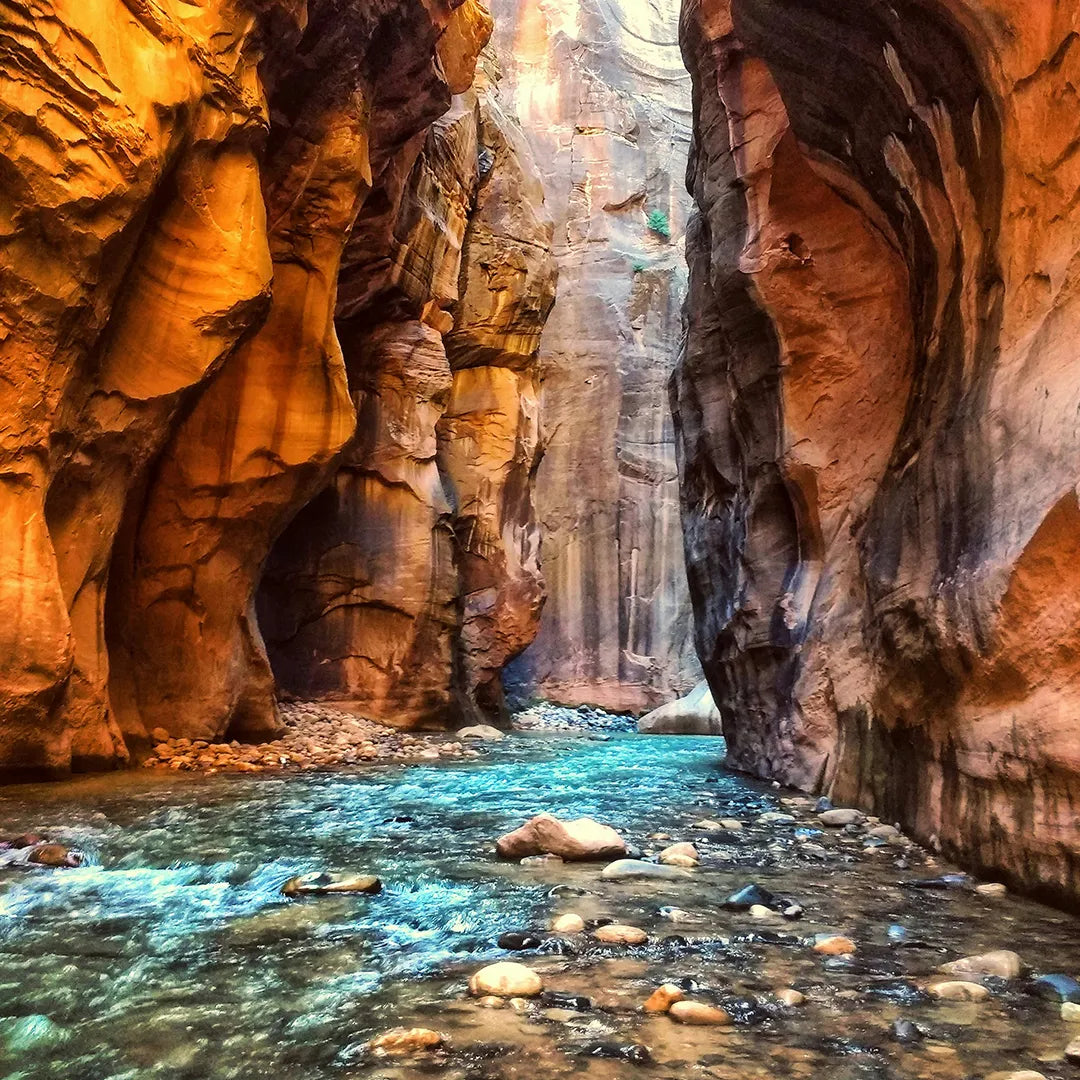 2-Day Private Small Group Tour of the Western United States Panorama (Round-Trip from Las Vegas)