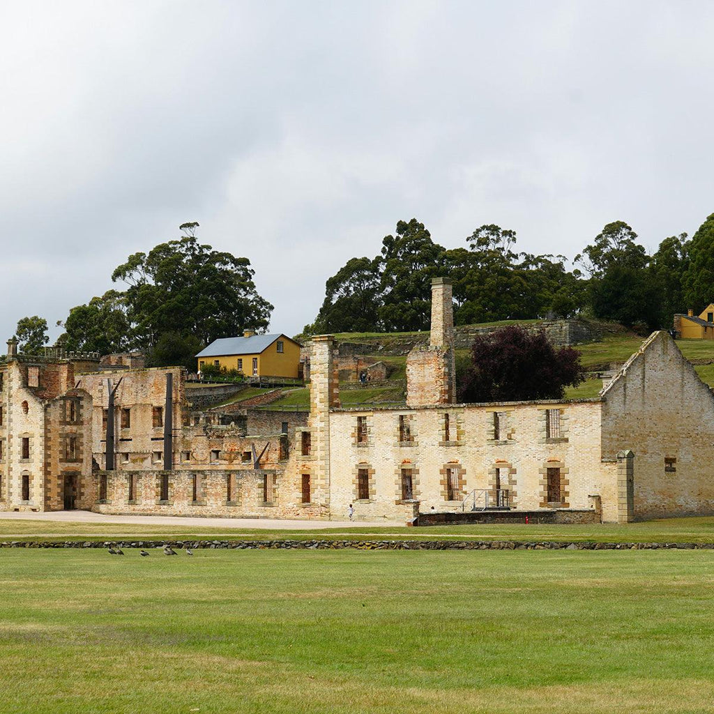 Day Tour from Port Arthur