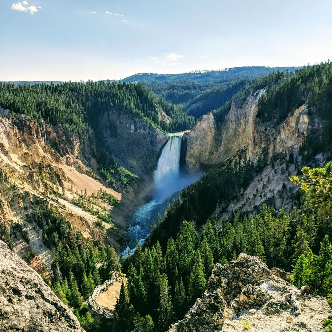 Yellowstone Private Chauffeur Charter Tour from Salt Lake City