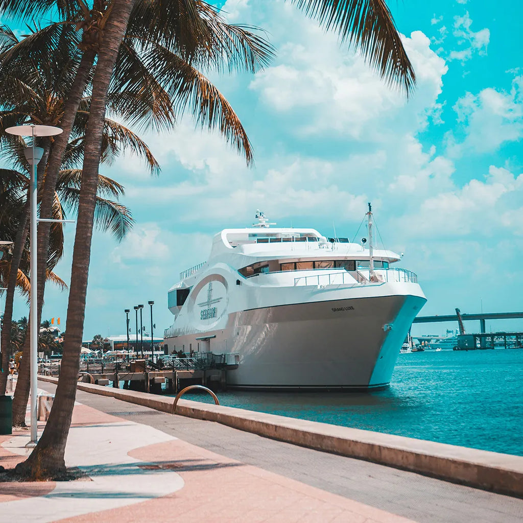 Miami City & Everglades National Park Day Tour