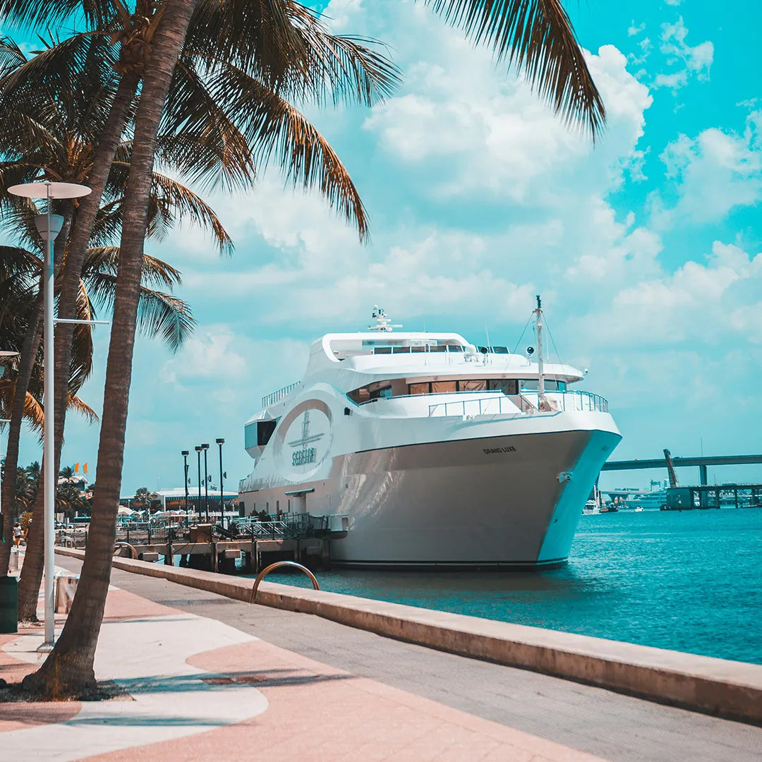 Miami City & Everglades National Park Day Tour