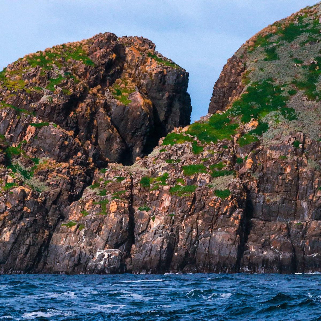 Bruny Island Full-Day Gourmet & Nature Tour with Luxury Coach & Expert Guide
