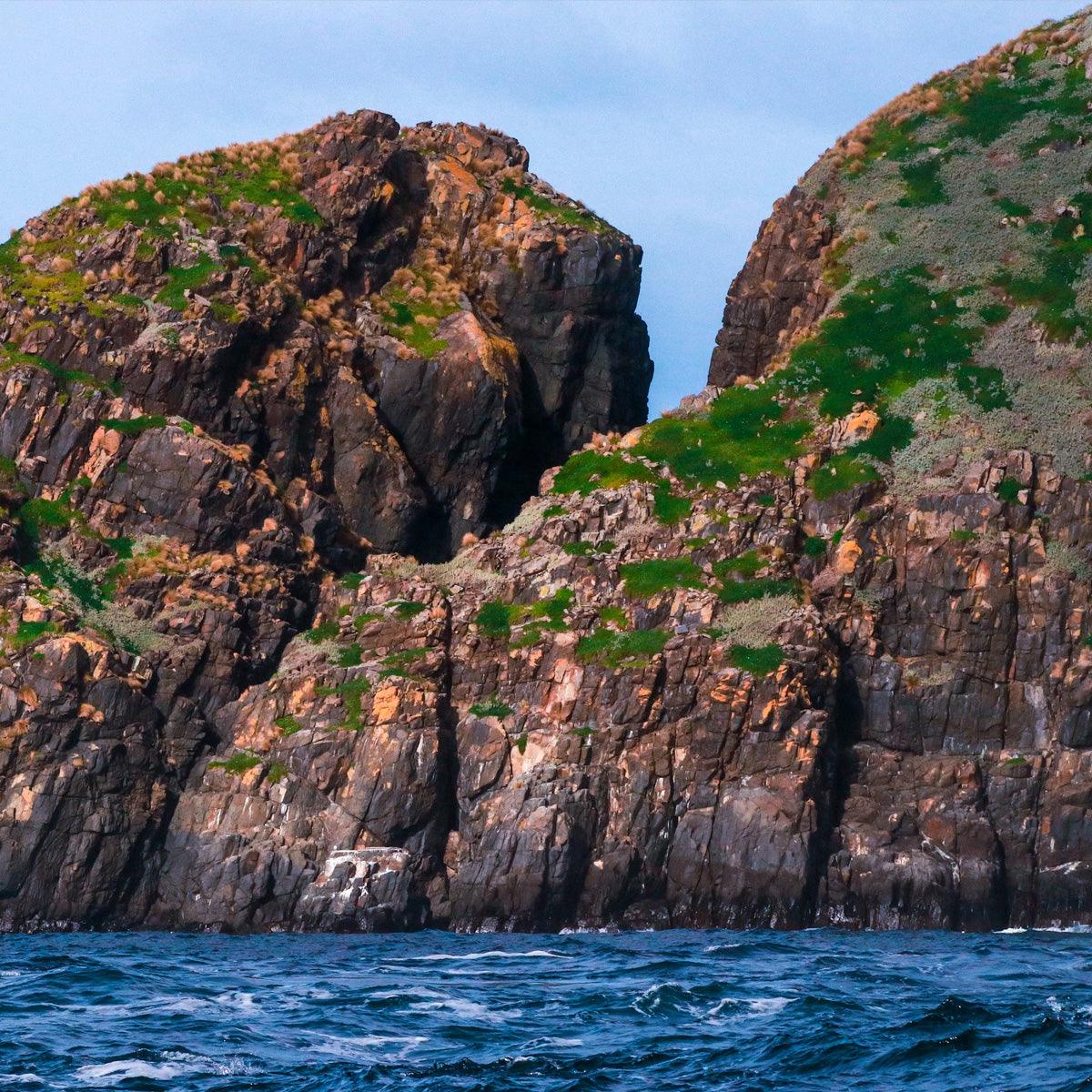 Bruny Island Full-Day Gourmet & Nature Tour with Luxury Coach & Expert Guide