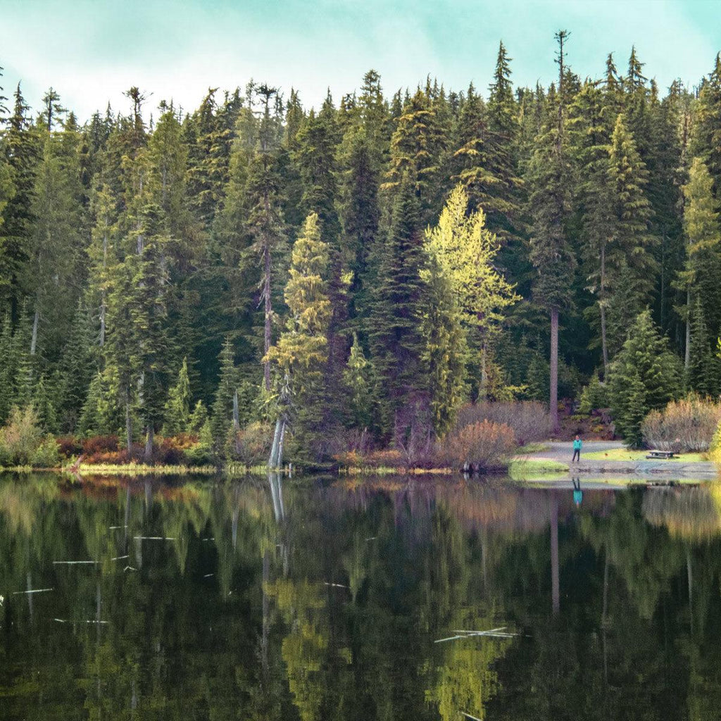 2-Day Mount Rainier & Olympic National Parks Tour – Washington’s Natural Wonders