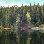 2-Day Mount Rainier & Olympic National Parks Tour – Washington’s Natural Wonders