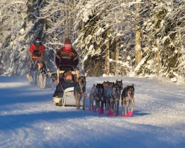 Alaska optional activities
