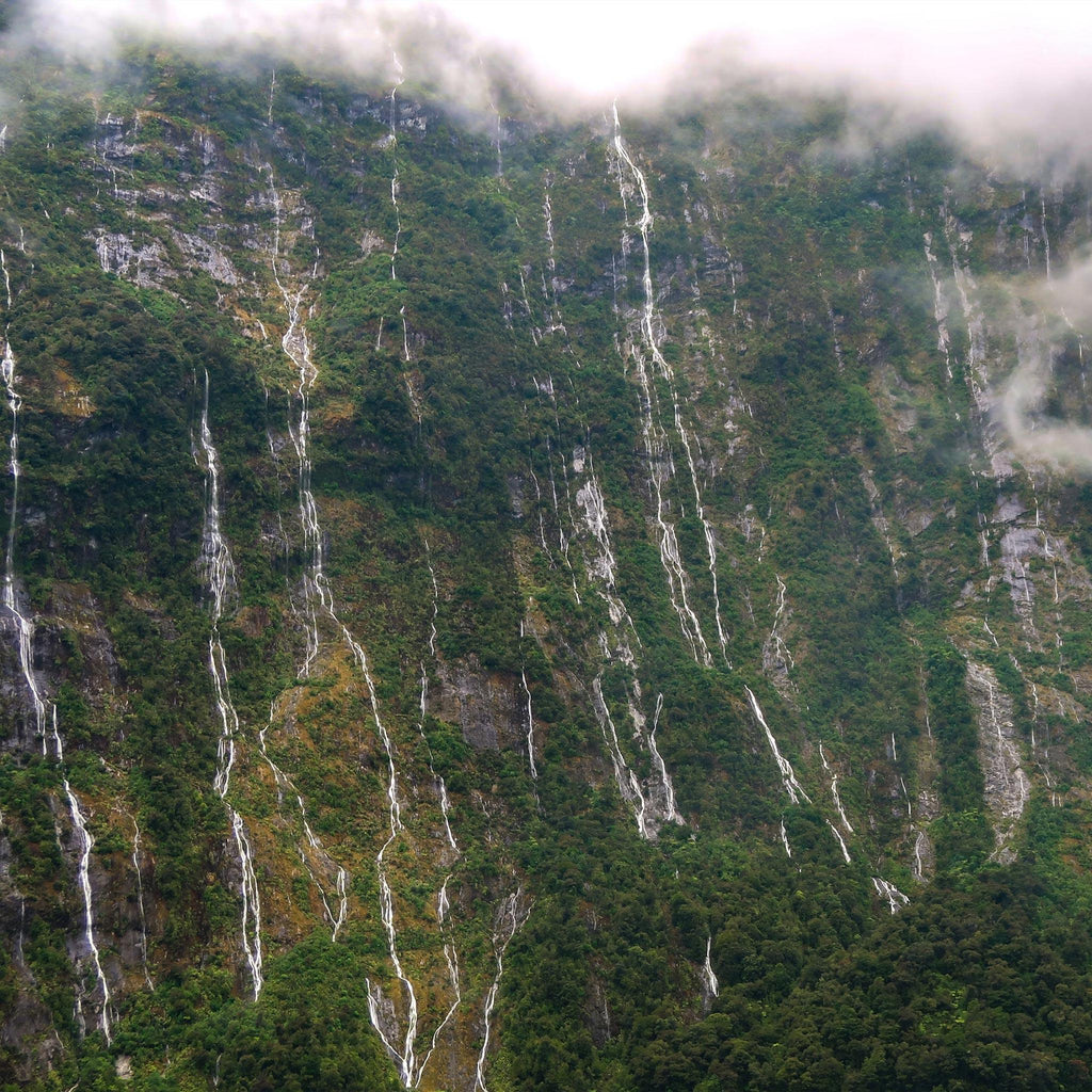 8-Day New Zealand South Island VIP Adventure