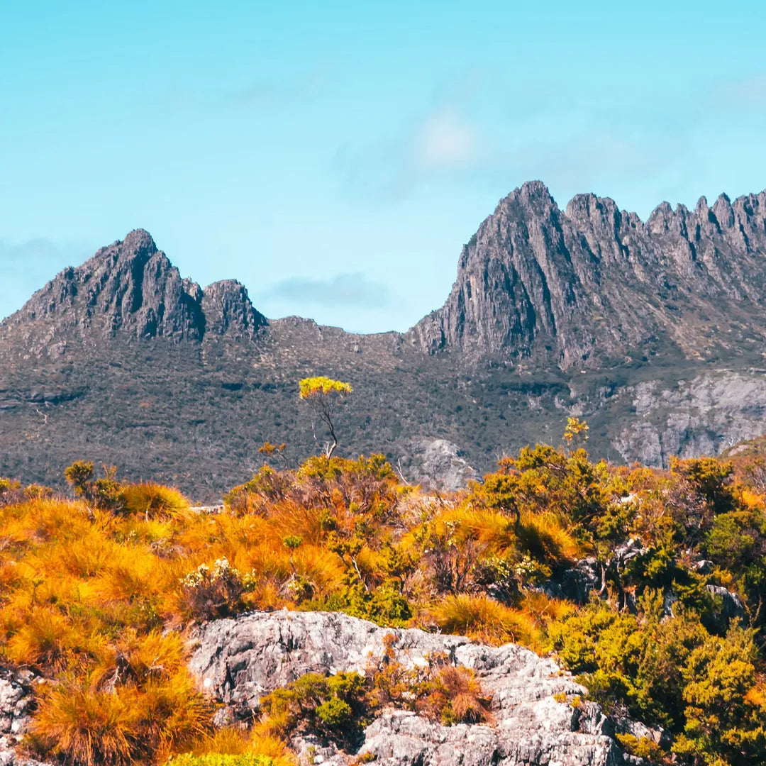 Exclusive Tasmania Private Tours | Flexible Routes & Free Custom Planning