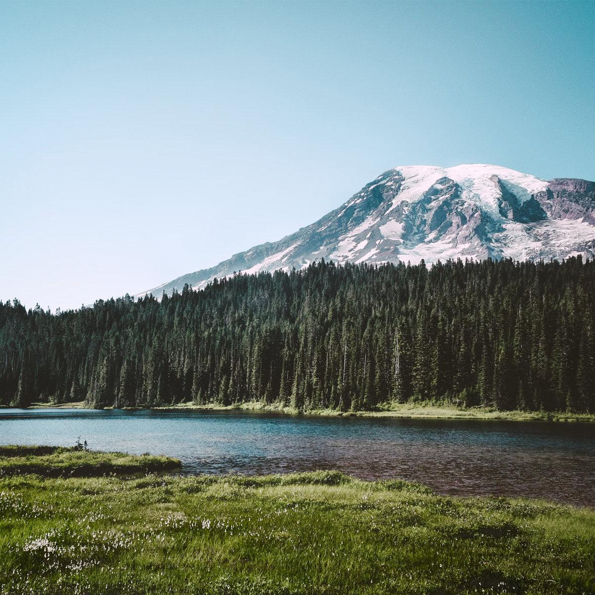 2-Day Mount Rainier & Olympic National Parks Tour – Washington’s Natural Wonders
