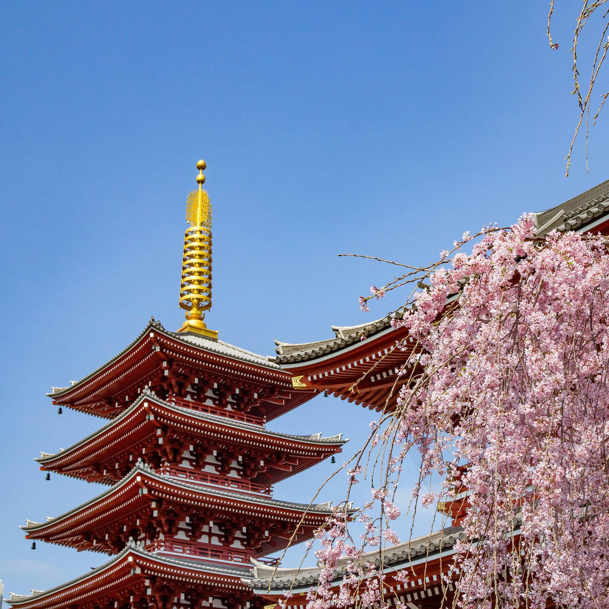 Narita International Airport Transfers