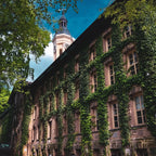 Personalized NYC Sightseeing Private Chauffeur Tours