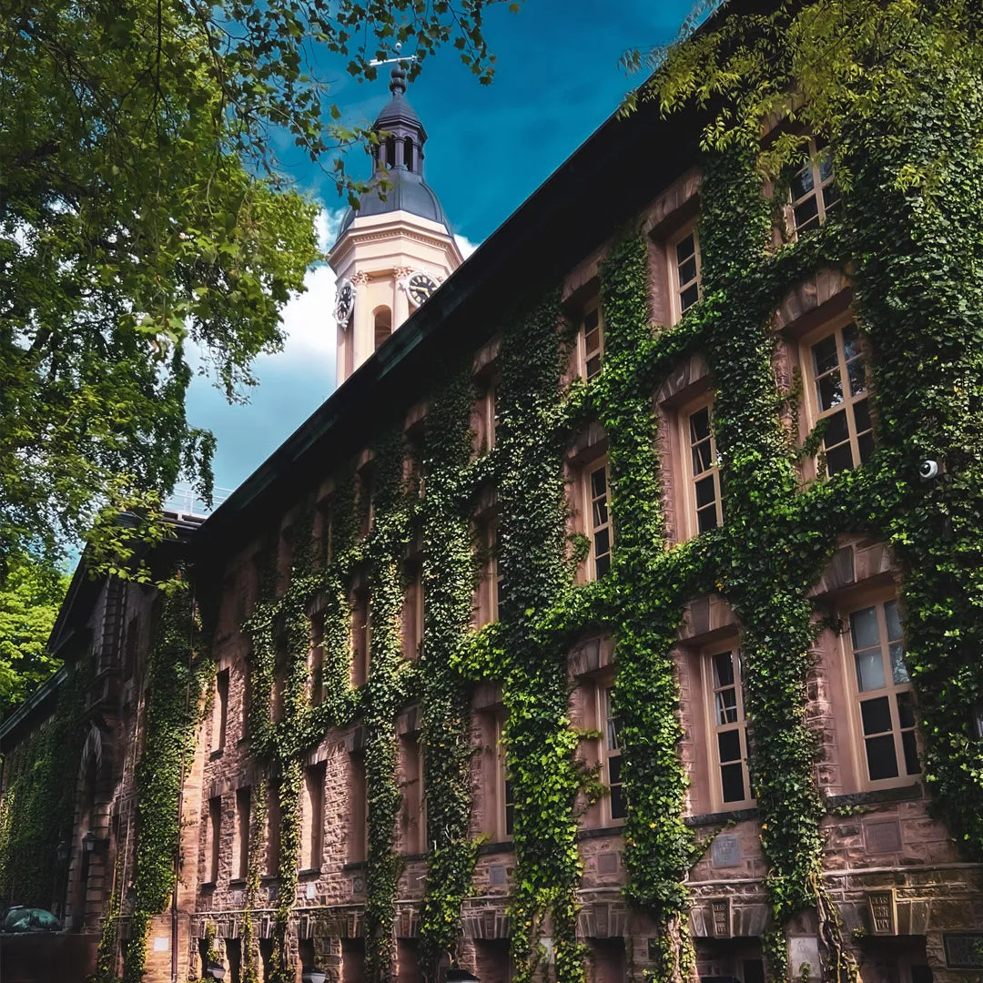 Personalized NYC Sightseeing Private Chauffeur Tours