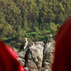 Bruny Island Full-Day Gourmet & Nature Tour with Luxury Coach & Expert Guide