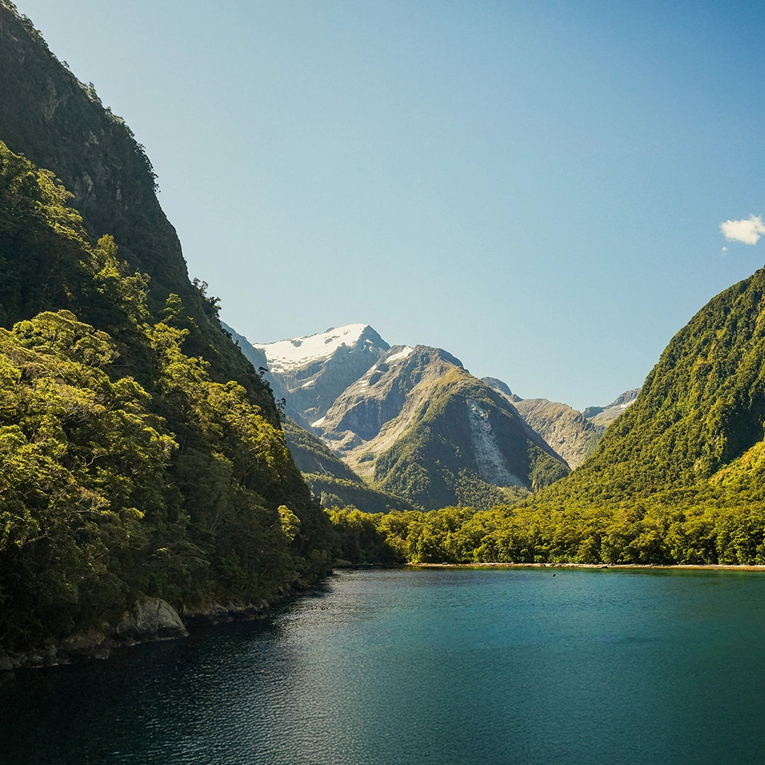 8-Day New Zealand South Island Whale Watching Small Group Tour