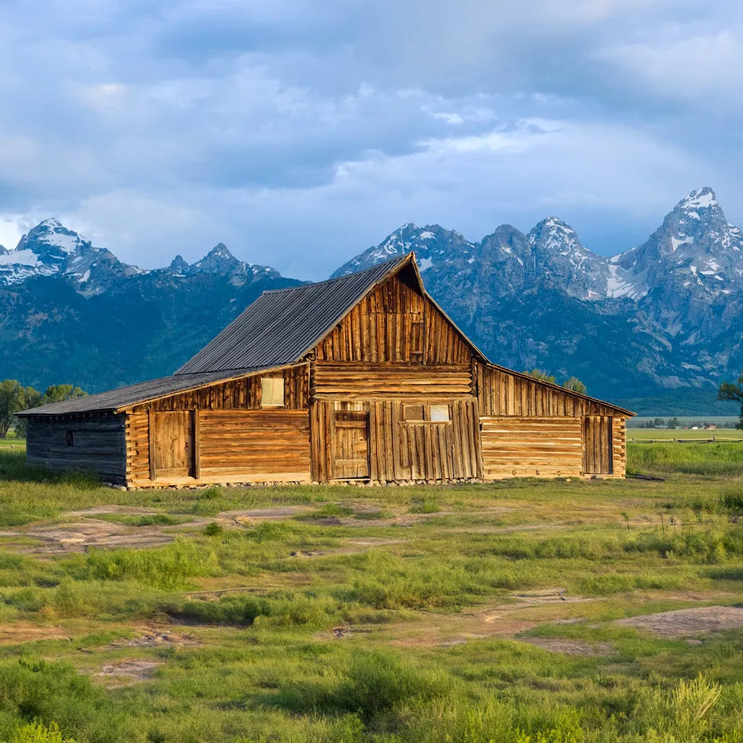 Yellowstone Private Chauffeur Charter Tour from Salt Lake City