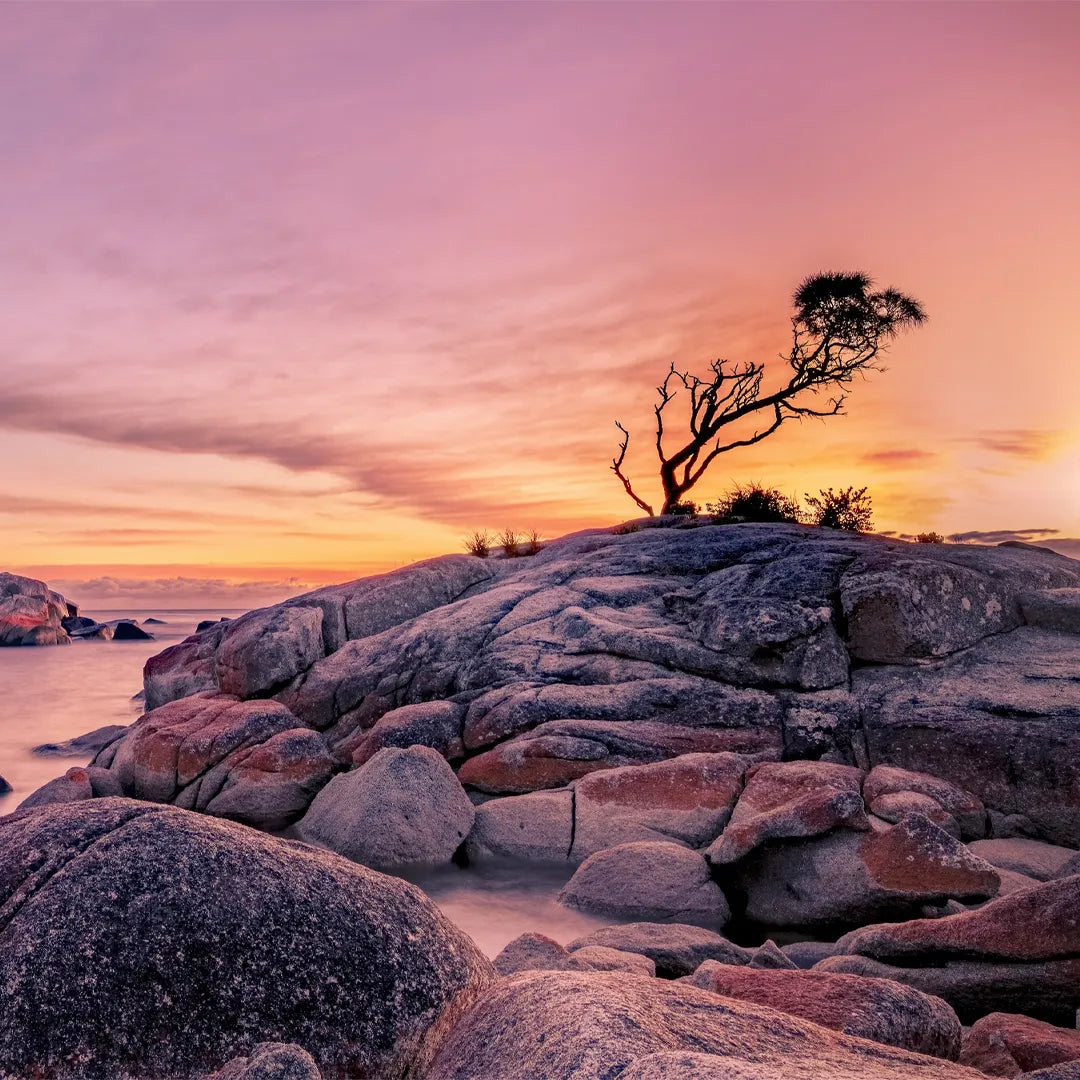 Exclusive Tasmania Private Tours | Flexible Routes & Free Custom Planning