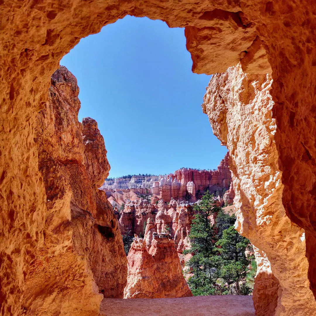 6-Day Western U.S. Adventure | Explore 5 Iconic National Parks