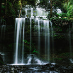 Exclusive Tasmania Private Tours | Flexible Routes & Free Custom Planning
