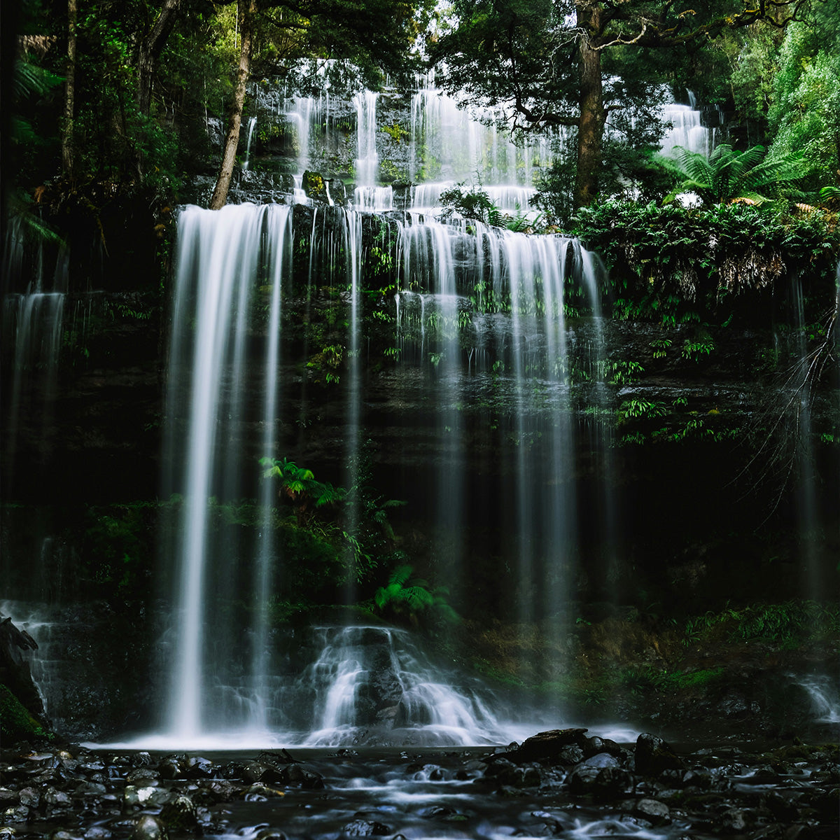 Exclusive Tasmania Private Tours | Flexible Routes & Free Custom Planning