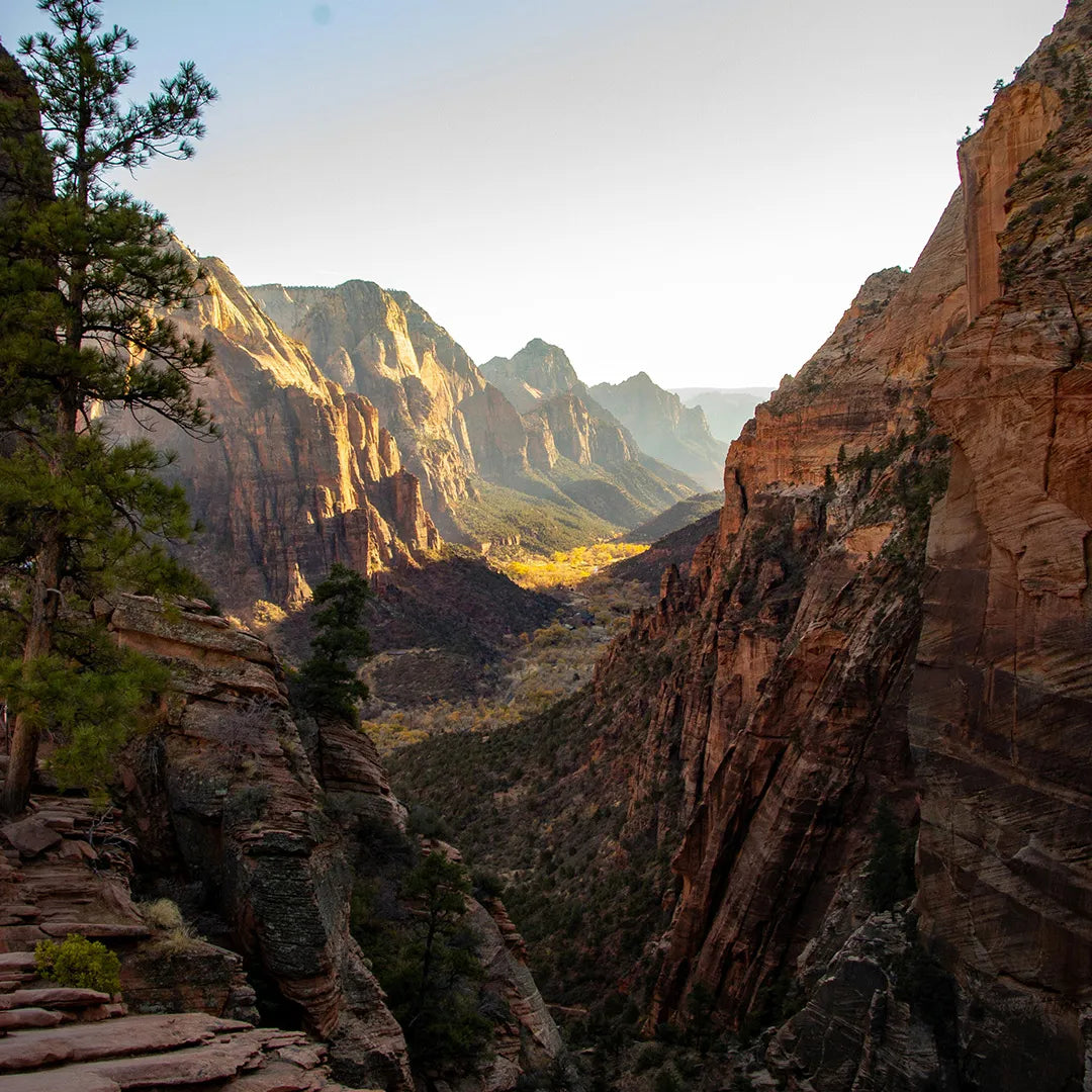 6-Day Western U.S. Adventure | Explore 5 Iconic National Parks