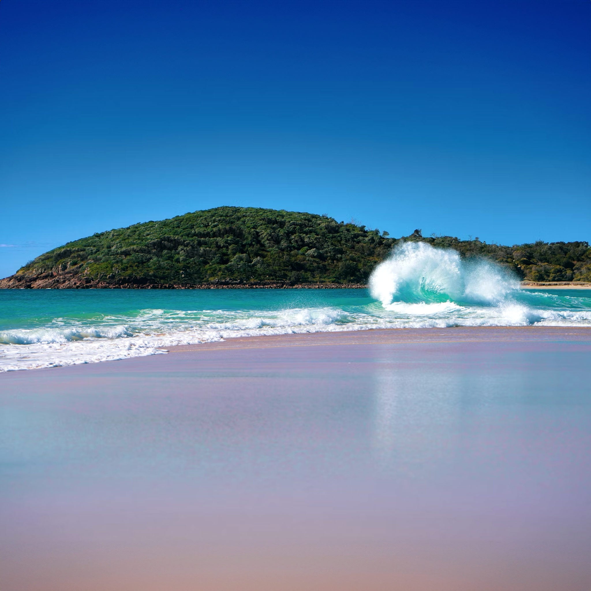 4-Day Sydney's Best Sights Classic Tour