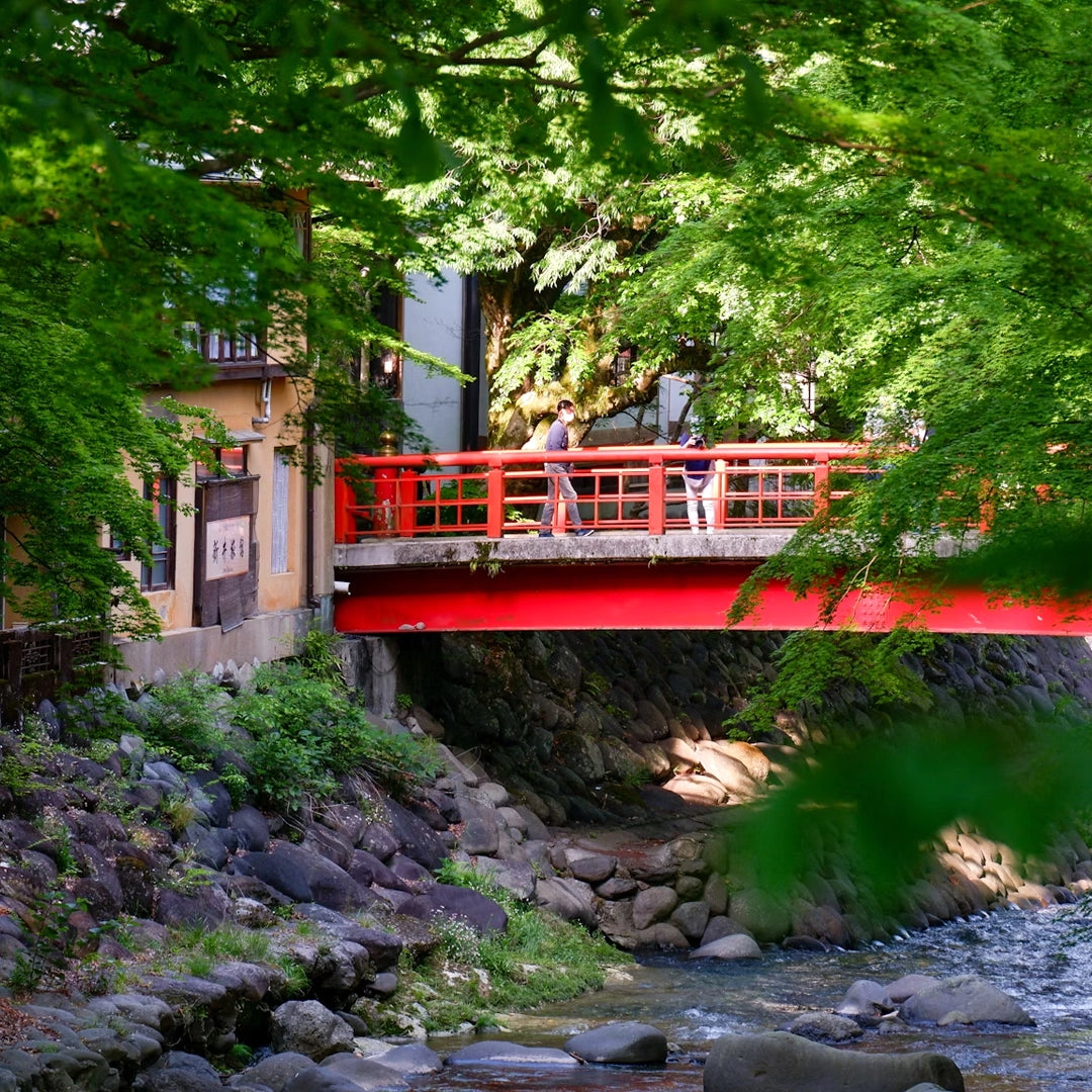 3-Day Izu Peninsula VIP Small Group Tour – Onsen, Cherry Blossoms & Scenic Coast