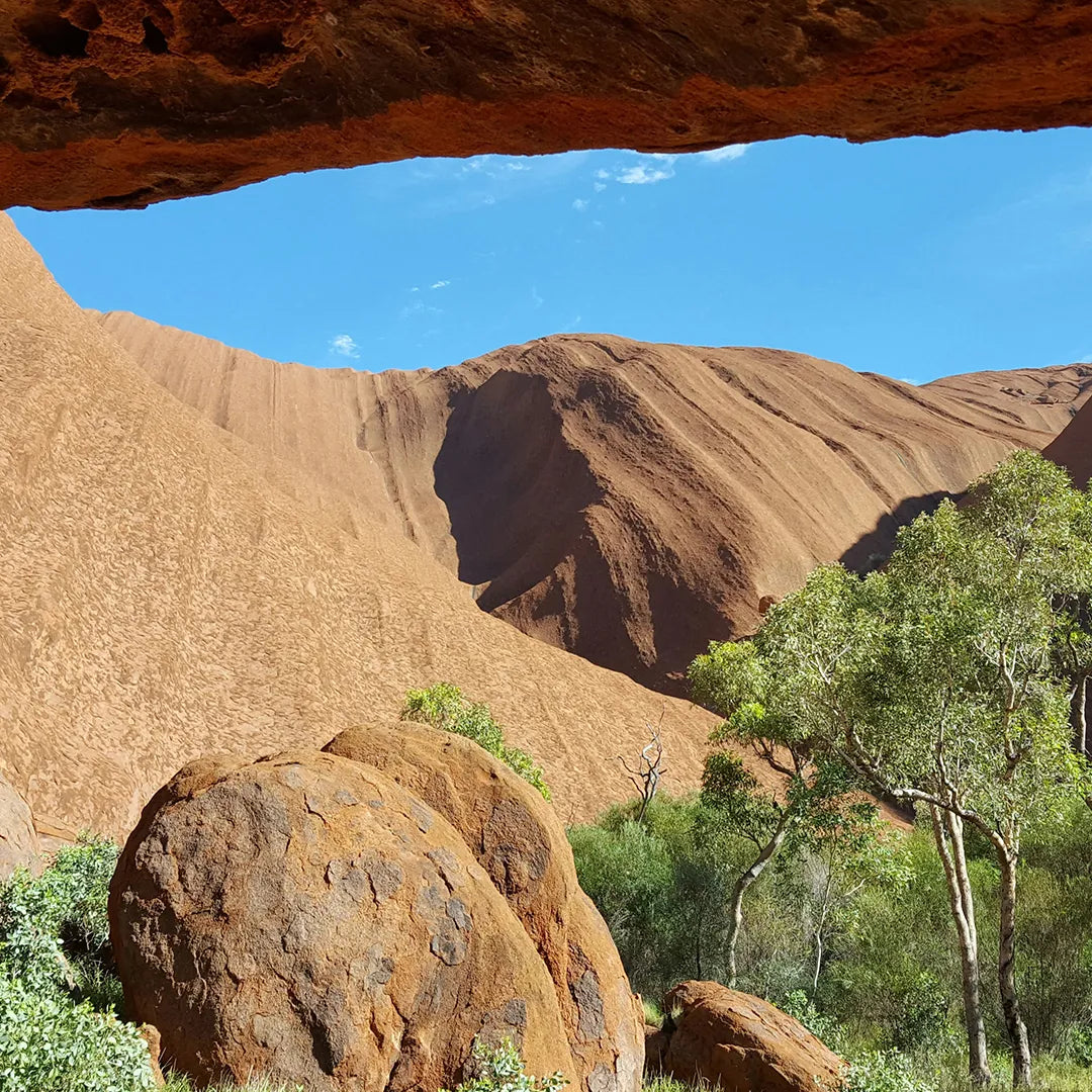 Uluru-Mala Walk Tour