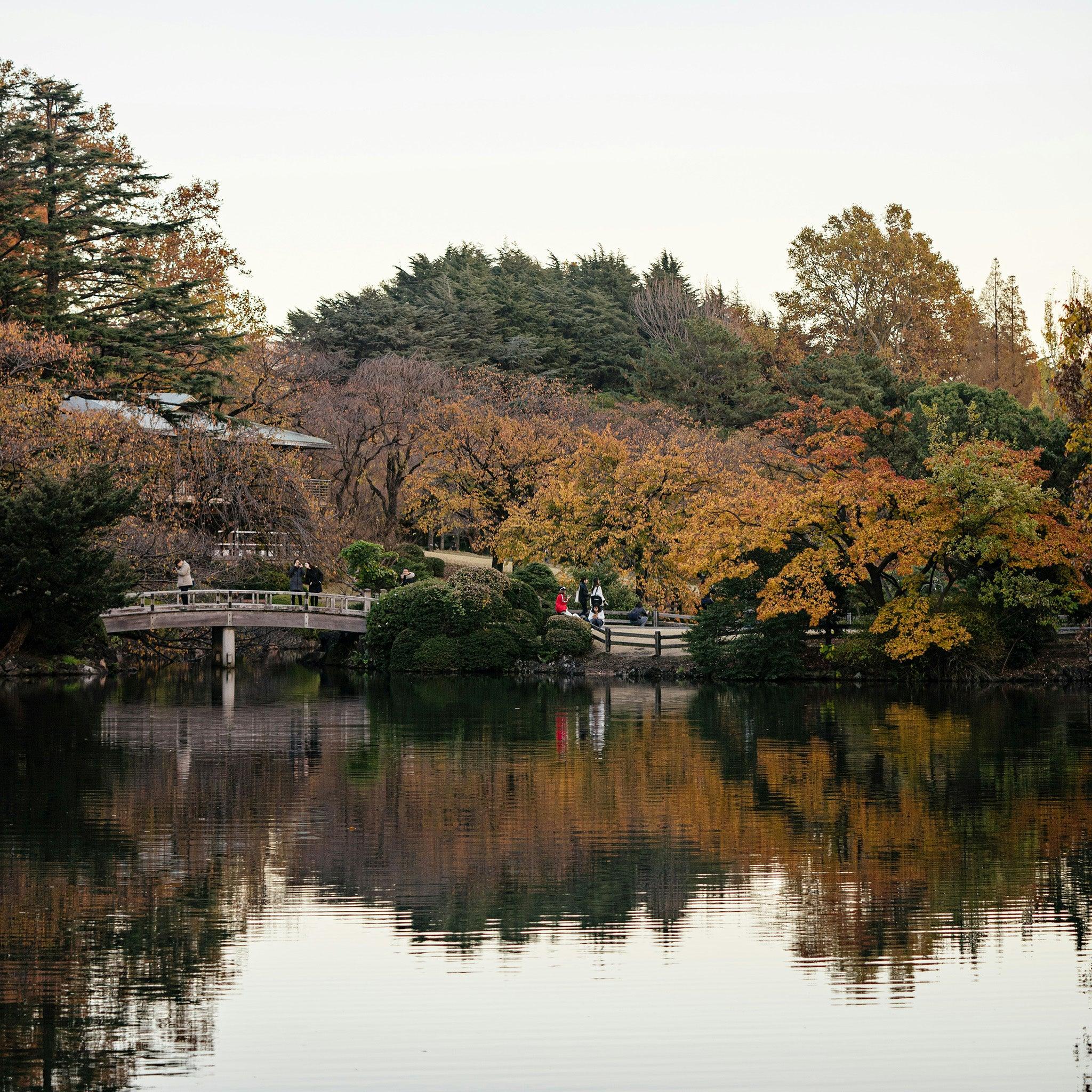 Narita International Airport Transfers