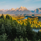 Yellowstone Private Chauffeur Charter Tour from Salt Lake City
