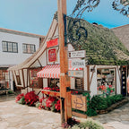 3-Day Pacific Coast Highway Small Group Tour | San Francisco to Los Angeles or Reverse